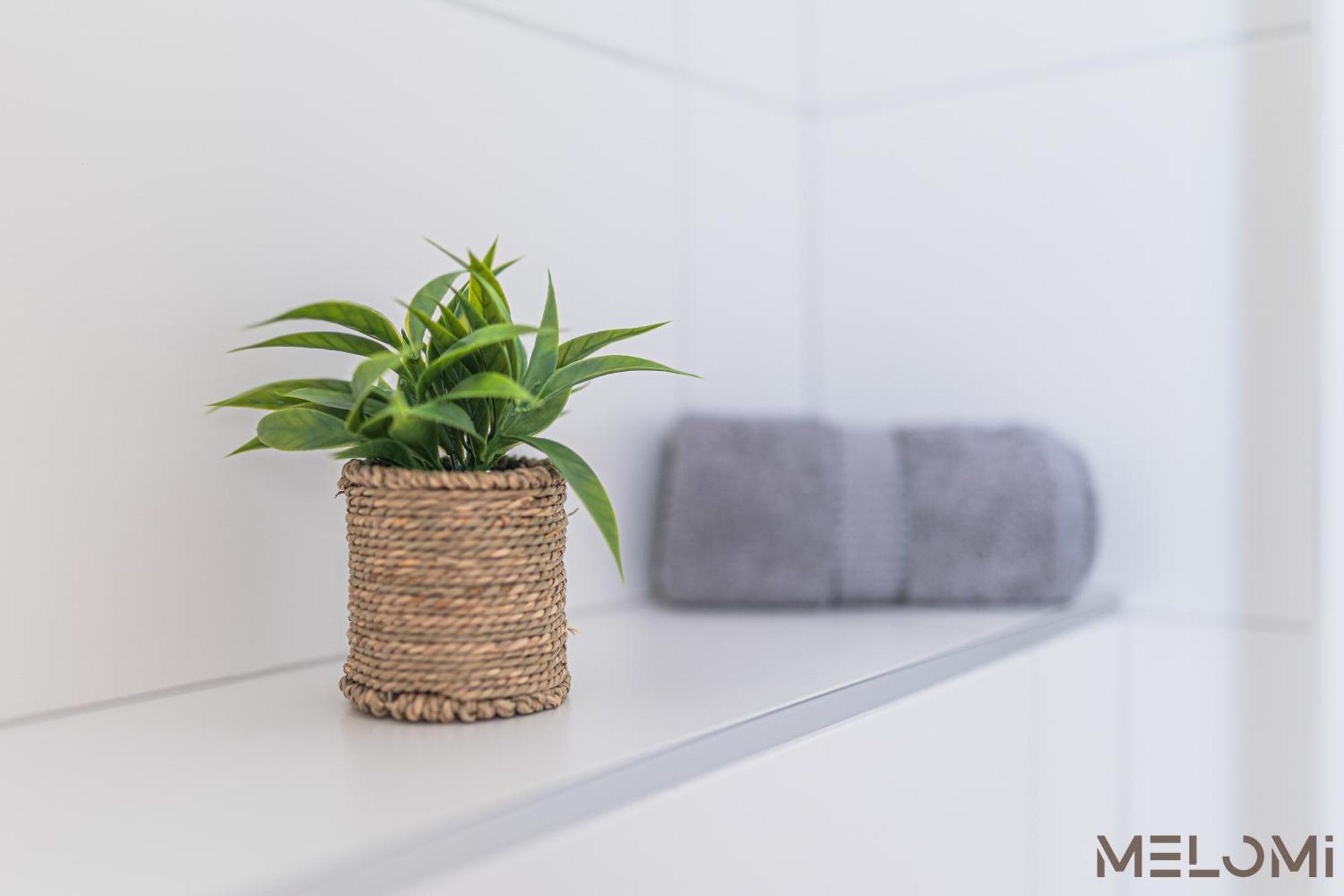 Melomi 1 Apartman Sárvár 外观 照片